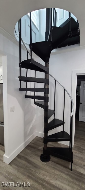 stairs with crown molding and hardwood / wood-style flooring