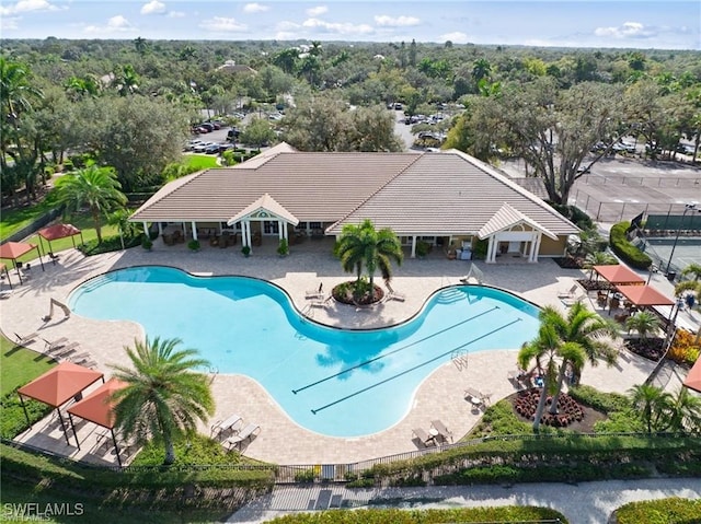 view of pool with a patio area