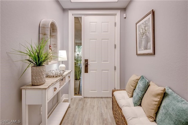 entrance foyer with light hardwood / wood-style flooring