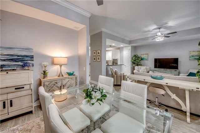 dining space featuring light wood-type flooring, crown molding, and ceiling fan