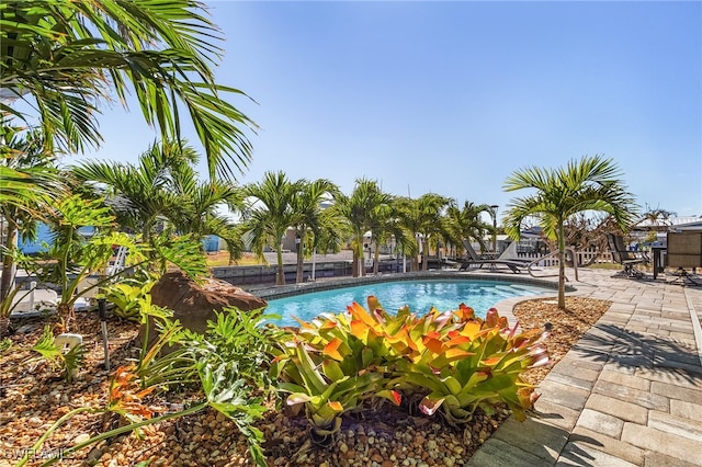 view of pool with a patio area