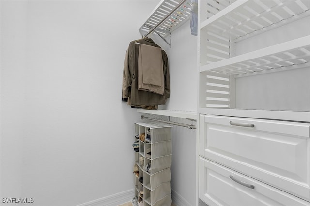 view of walk in closet