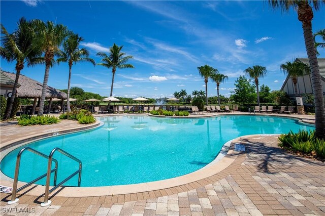 view of pool with a patio area