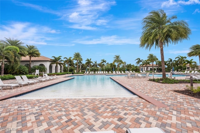 view of pool featuring a patio area