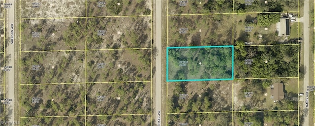 1312 Michael Ave, Lehigh Acres FL, 33972 land for sale