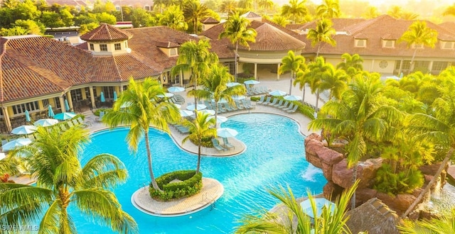 view of swimming pool featuring a patio area