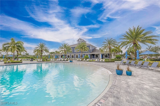 view of pool featuring a patio area