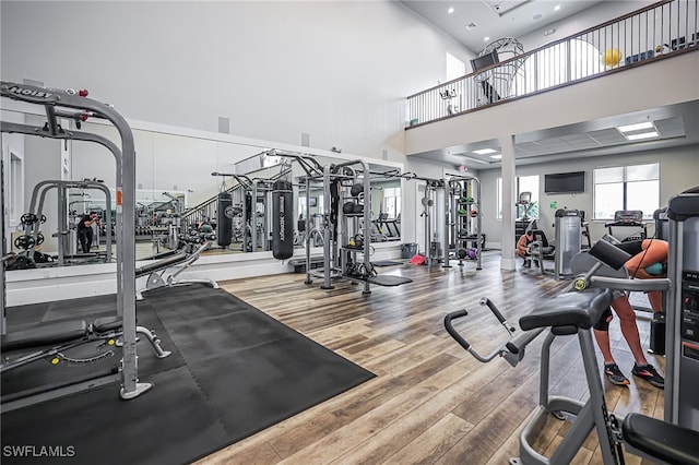 exercise room featuring a towering ceiling and hardwood / wood-style floors