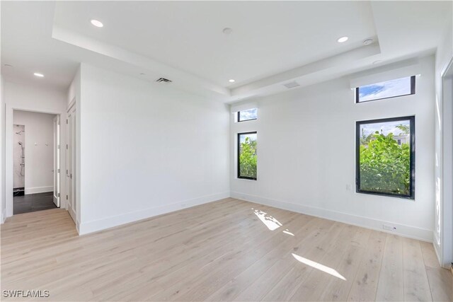 spare room with light hardwood / wood-style flooring and a raised ceiling