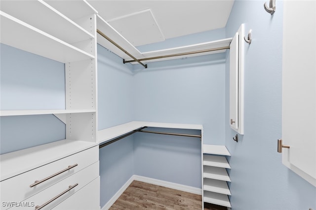 spacious closet featuring light hardwood / wood-style floors