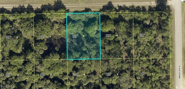 1244 Ramee St E, Lehigh Acres FL, 33974 land for sale