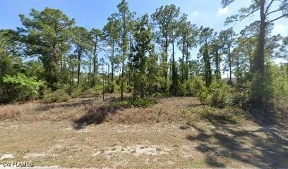 3803 39th St SW, Lehigh Acres FL, 33976 land for sale