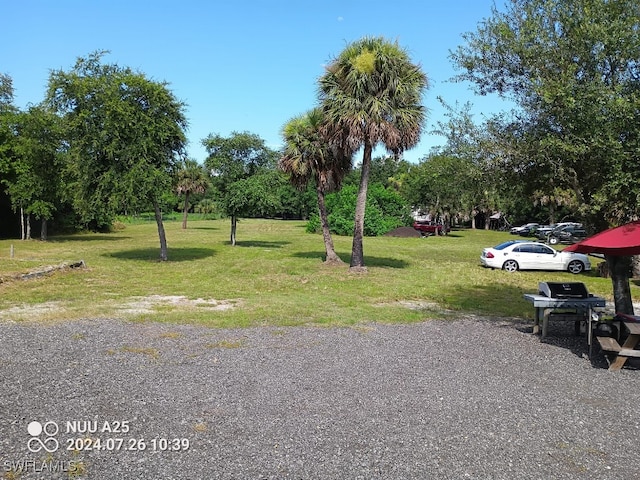 view of home's community featuring a yard