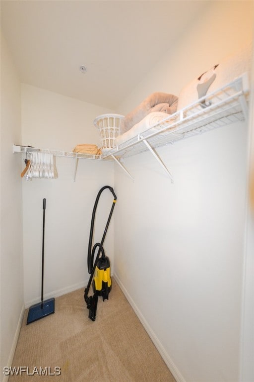 spacious closet with carpet floors