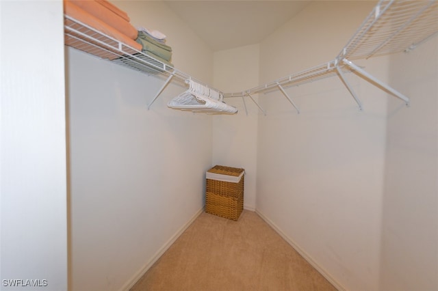 spacious closet featuring light carpet