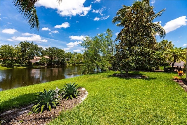 view of yard featuring a water view