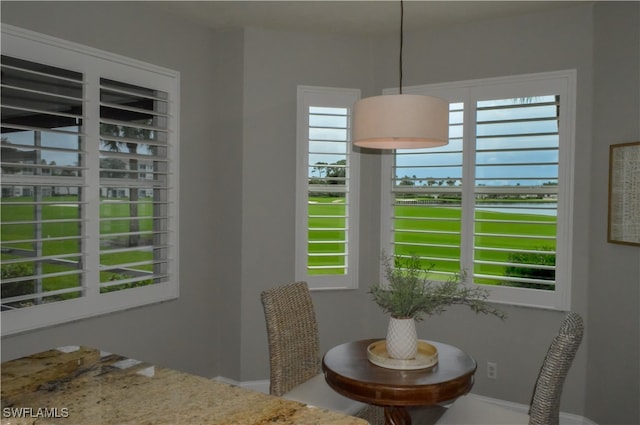 dining room featuring plenty of natural light