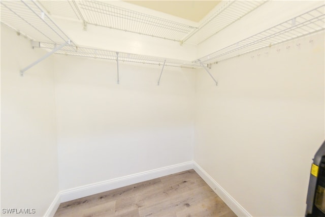 walk in closet featuring wood-type flooring