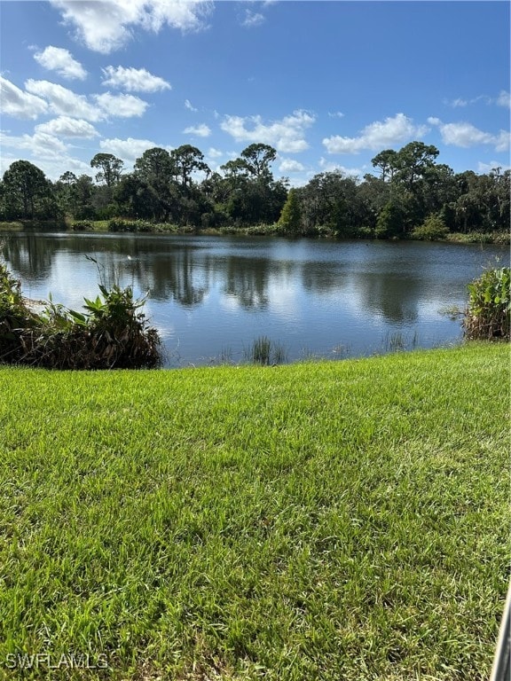 property view of water