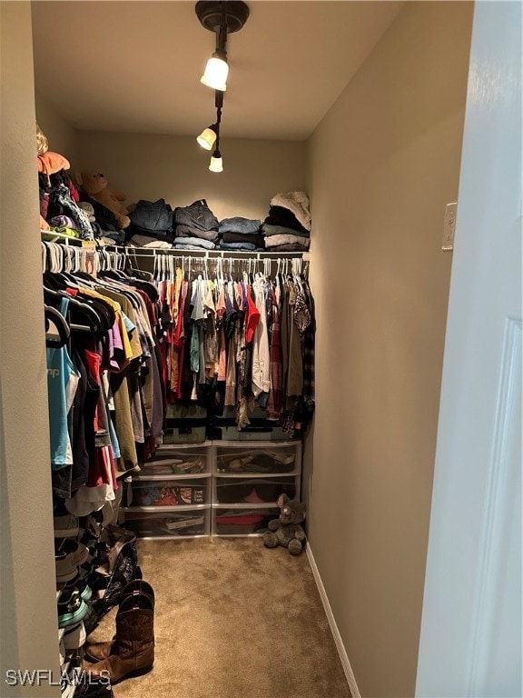 spacious closet with carpet