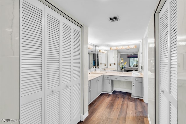 bathroom featuring hardwood / wood-style floors and vanity