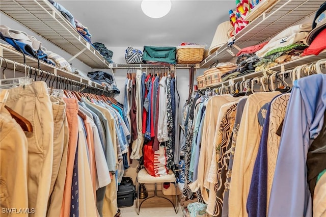 view of spacious closet