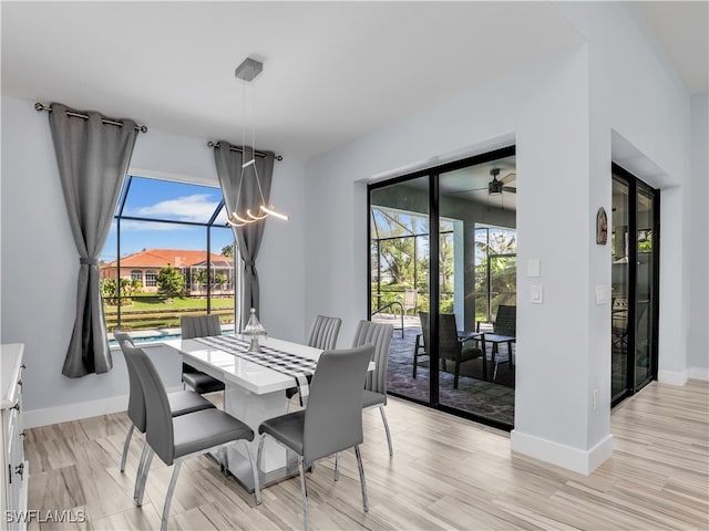 dining room featuring light wood-type flooring and ceiling fan