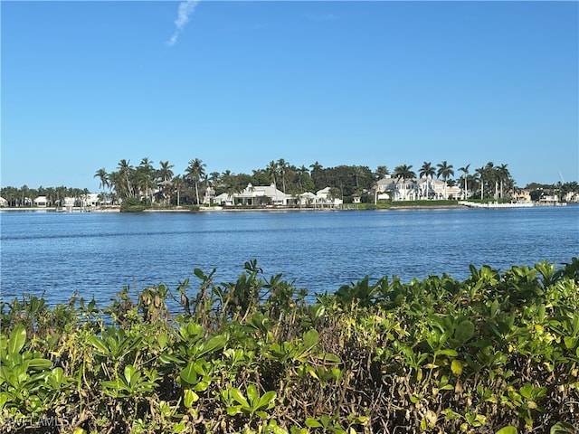 property view of water