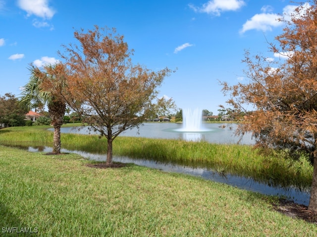 view of water feature