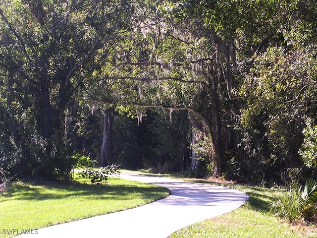 view of community with a lawn