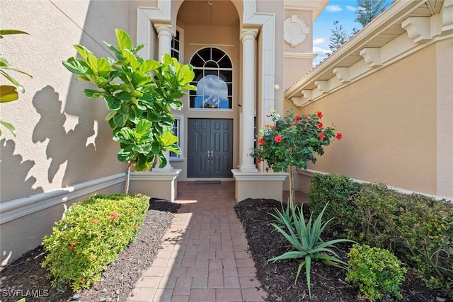 view of exterior entry featuring stucco siding