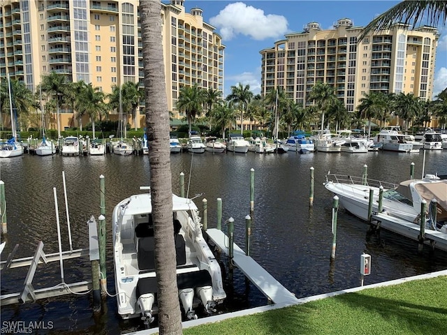 dock area with a water view