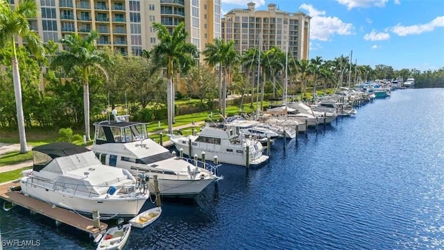 view of dock featuring a water view