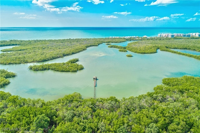 drone / aerial view featuring a water view