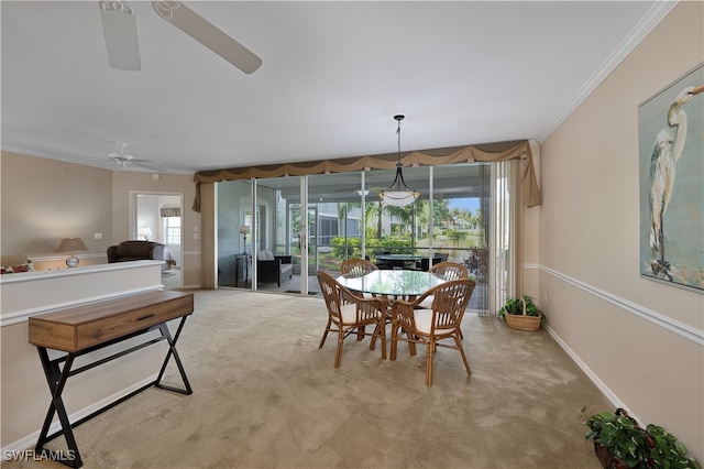 carpeted dining area with crown molding and ceiling fan