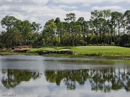 28520 Calabria Ct Unit 201, Naples, FL 34110 - view of water feature