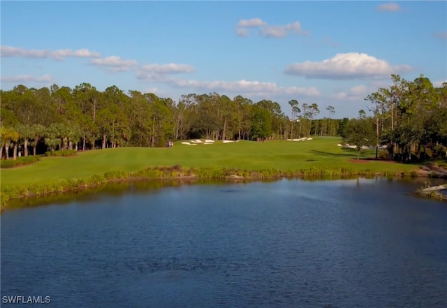 property view of water