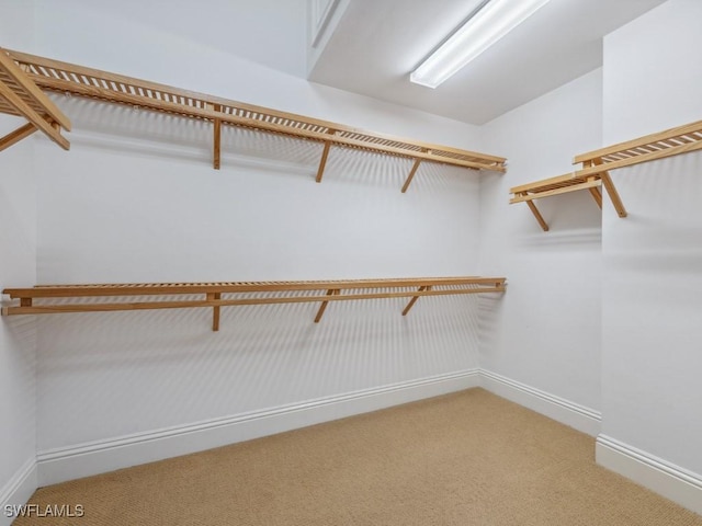 28520 Calabria Ct Unit 201, Naples, FL 34110 - spacious closet featuring light colored carpet