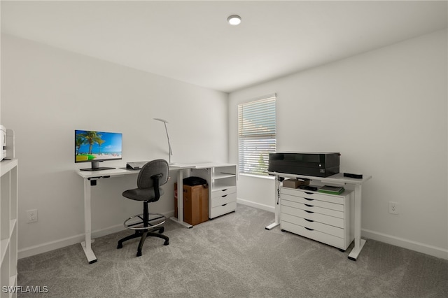 office featuring light colored carpet