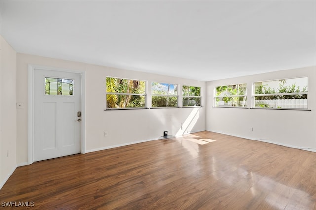 spare room featuring a wealth of natural light and hardwood / wood-style flooring