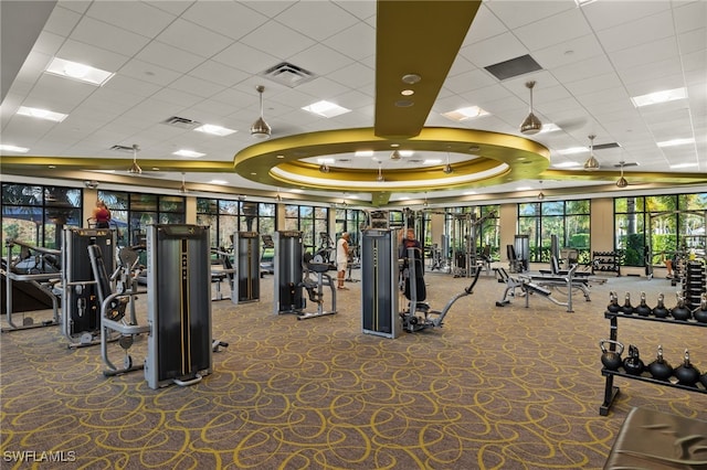 workout area with a paneled ceiling, a raised ceiling, and carpet floors