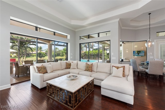 living room featuring crown molding, a raised ceiling, and dark hardwood / wood-style flooring