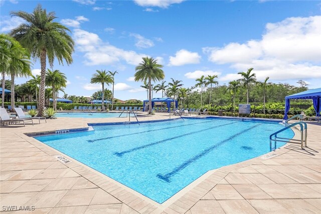 view of pool featuring a patio area