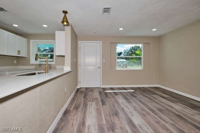 kitchen with sink, hardwood / wood-style flooring, a wealth of natural light, and white cabinetry