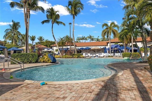 view of swimming pool with a patio