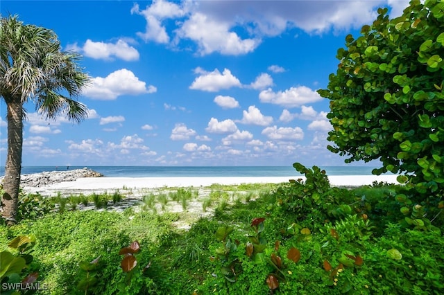 water view featuring a view of the beach