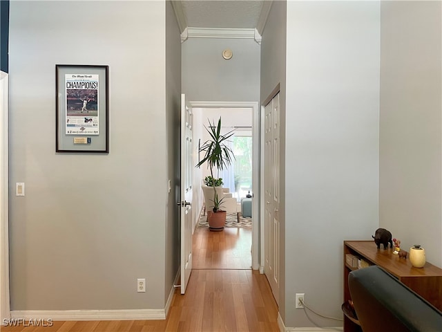 hallway featuring light hardwood / wood-style floors and ornamental molding