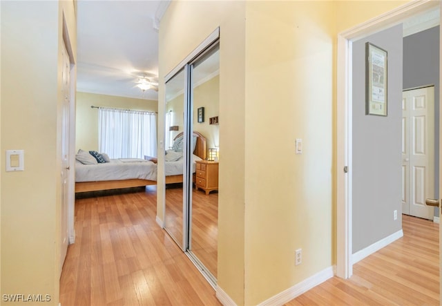 hallway with light wood-type flooring