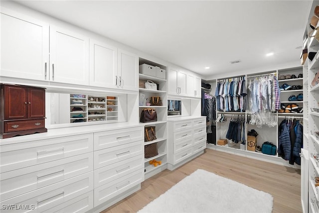 spacious closet featuring light wood finished floors