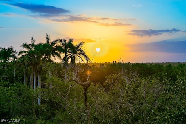 view of nature at dusk